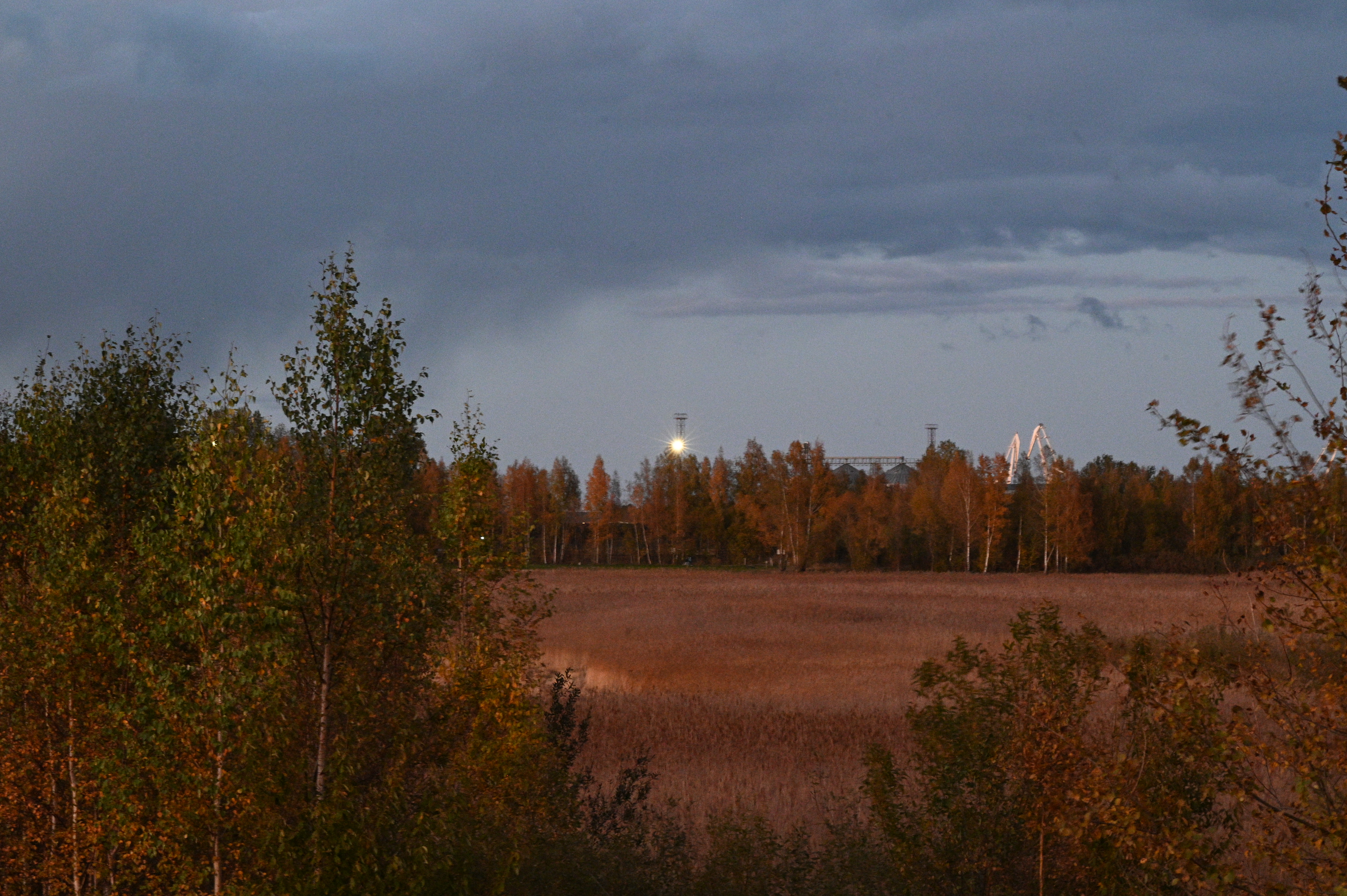 2025/10/18 - walk/DSC_0637.JPG